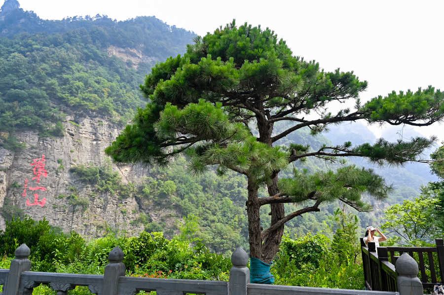 Wudang Mountain landscape and cultural tourism setting in Hubei