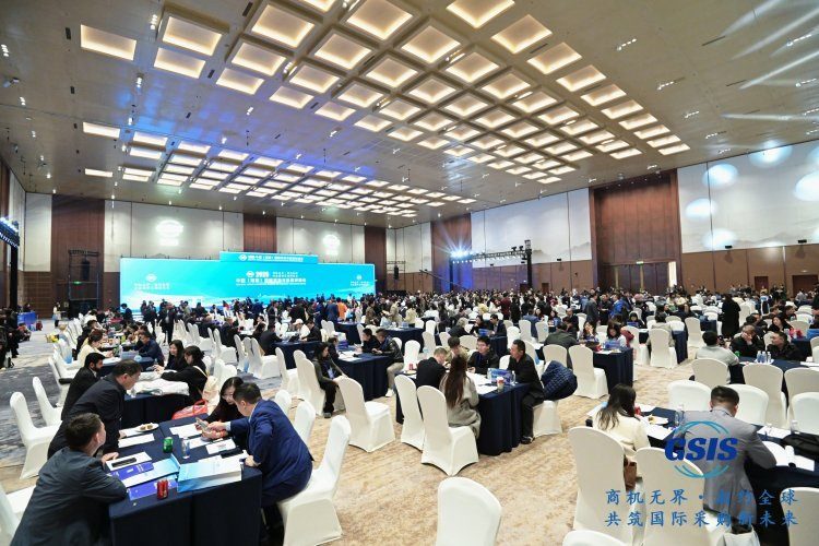 Hunan Sino-Irish industry dialogue conference overview