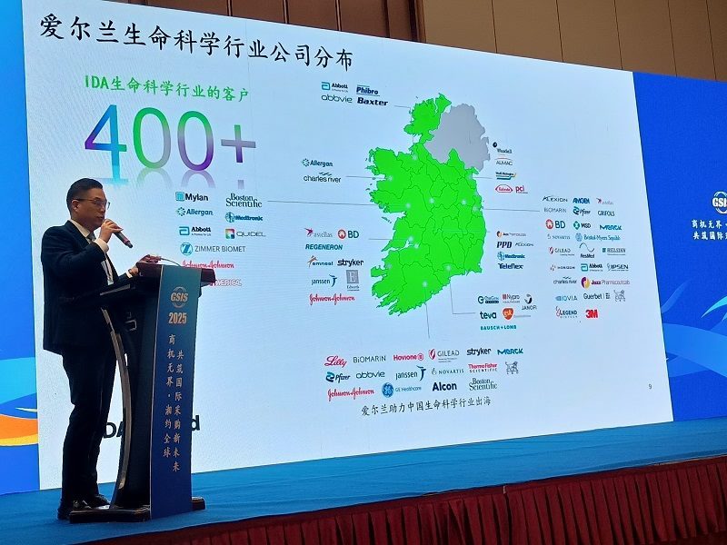 Ireland sector presentation during the Hunan industry dialogue