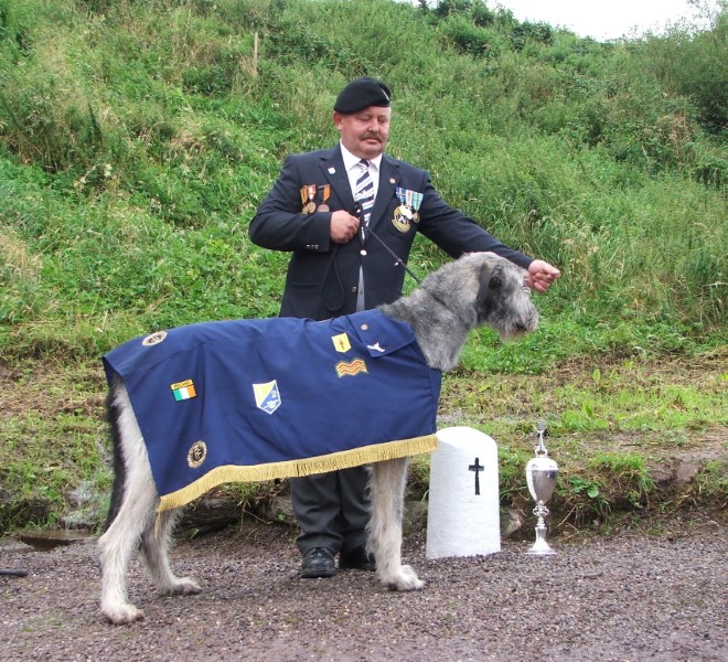 Native Irish Pedigree Dog Breeds