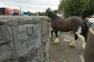 The Tradition of Spancilhill International Horse Fair