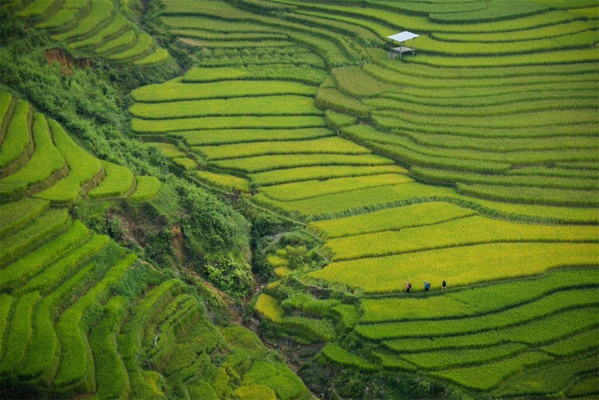 Shangri-La highland landscape in Yunnan