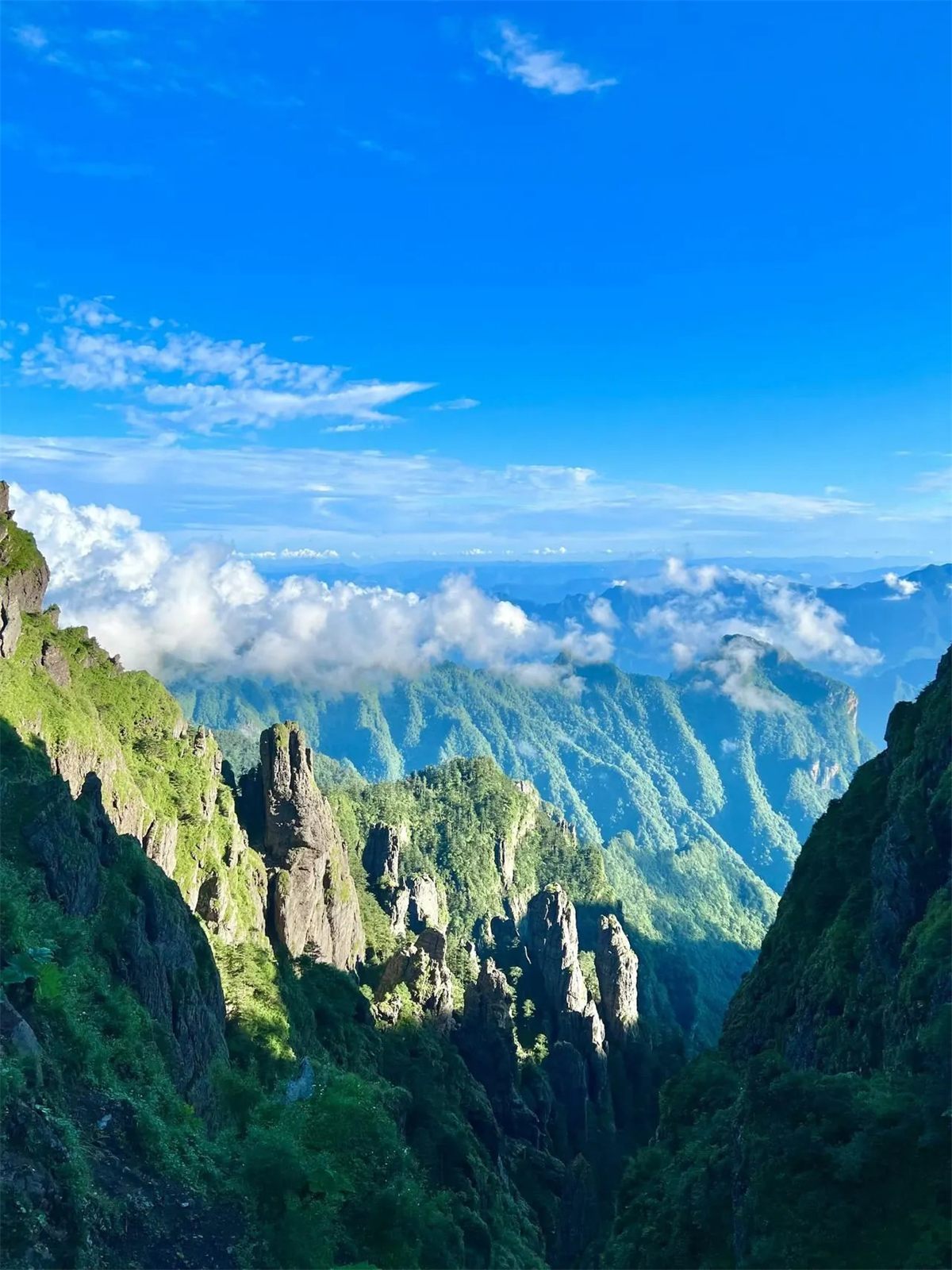 Mountain forest and river scenery in central China