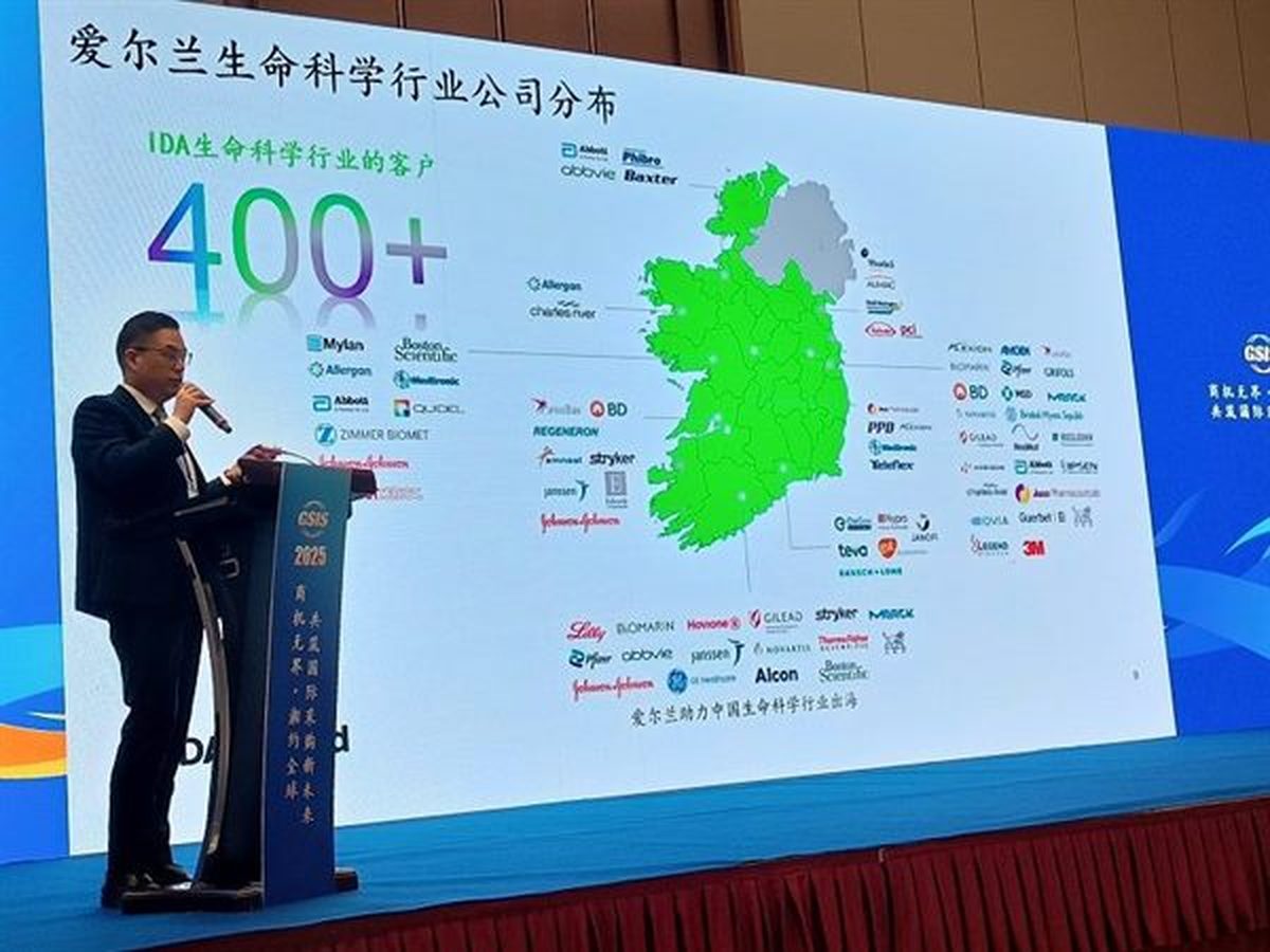 Speaker presentation at the GSIS 2025 Changsha forum
